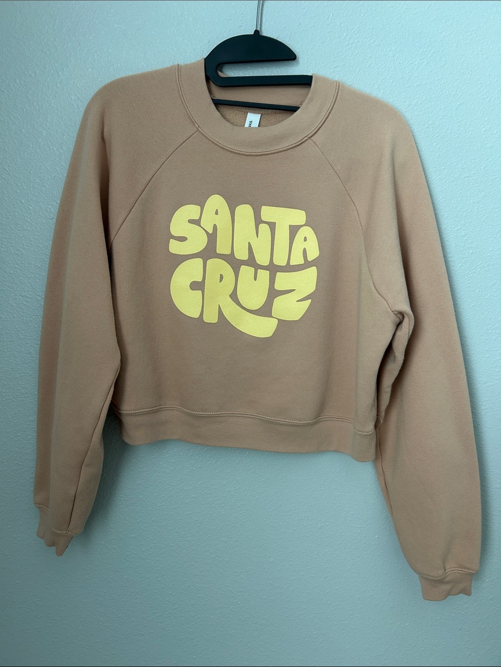 Santa Cruz Cropped Sweatshirt